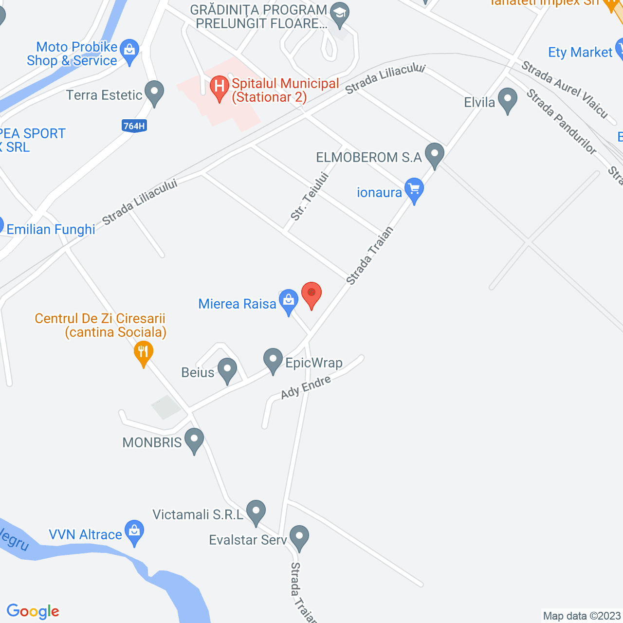 Poza harta streetview, zoom 16, adresa Beius, , judetul