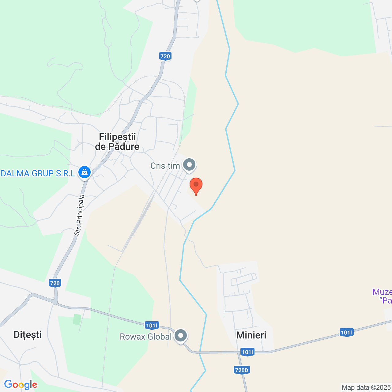 Poza harta streetview, zoom 14, adresa Filipestii de Padure Prahova, , judetul