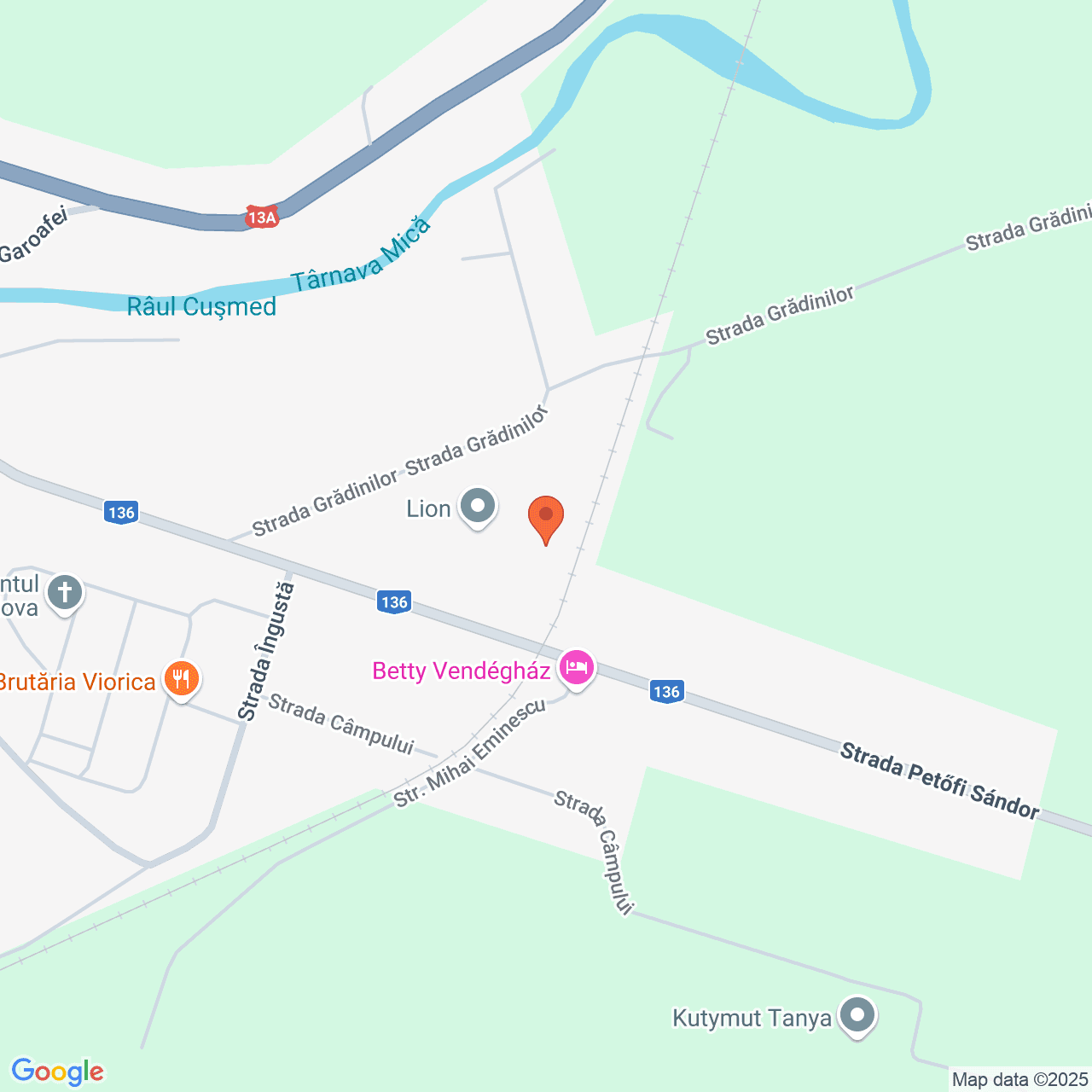 Poza harta streetview, zoom 16, adresa Sangeorgiu de Padure Mures, , judetul