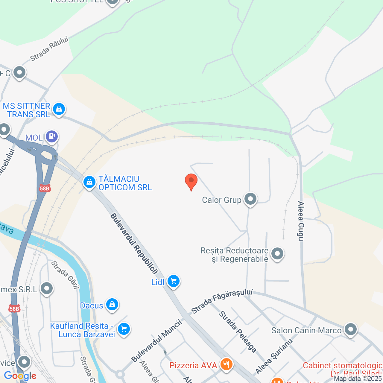 Poza harta streetview, zoom 16, adresa str. Făgărașului nr. 12A, Reșița, , judetul