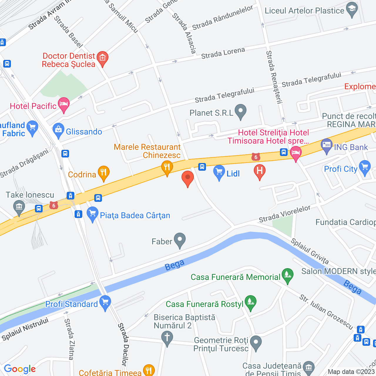 Poza harta streetview, zoom 16, adresa Timisoara Sp. Peneş Curcanul, nr.6, , judetul