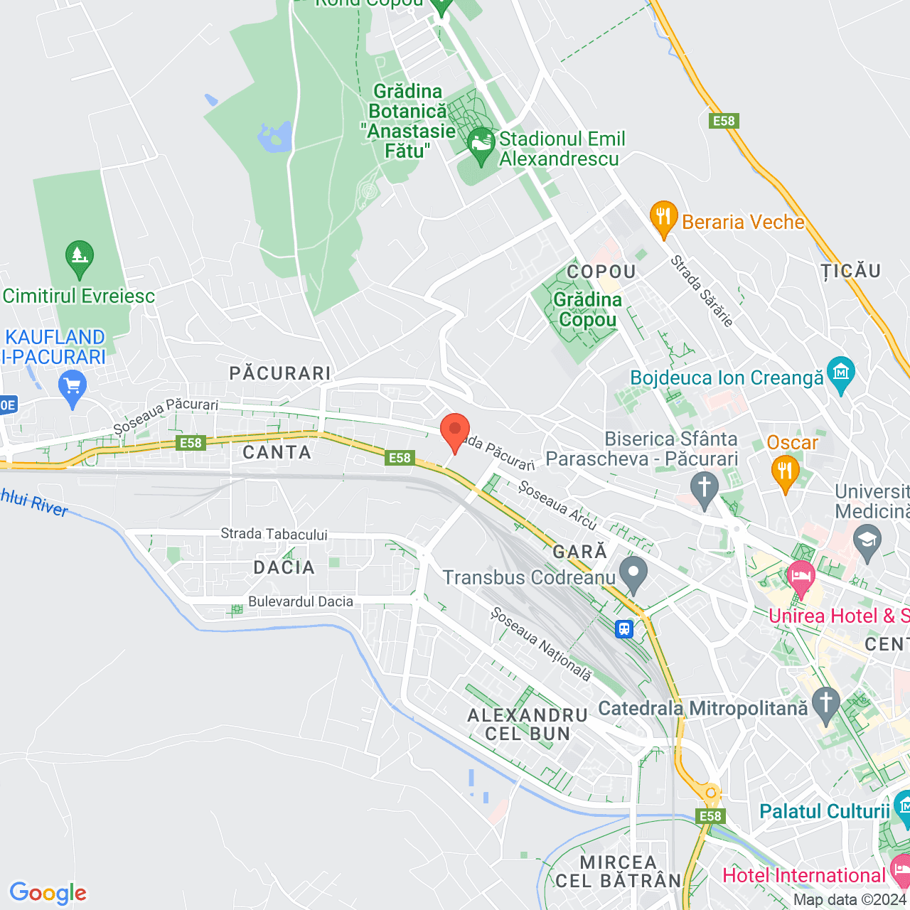 Poza harta streetview, zoom 14, adresa Iasi Str. Niciman nr. 1, , judetul