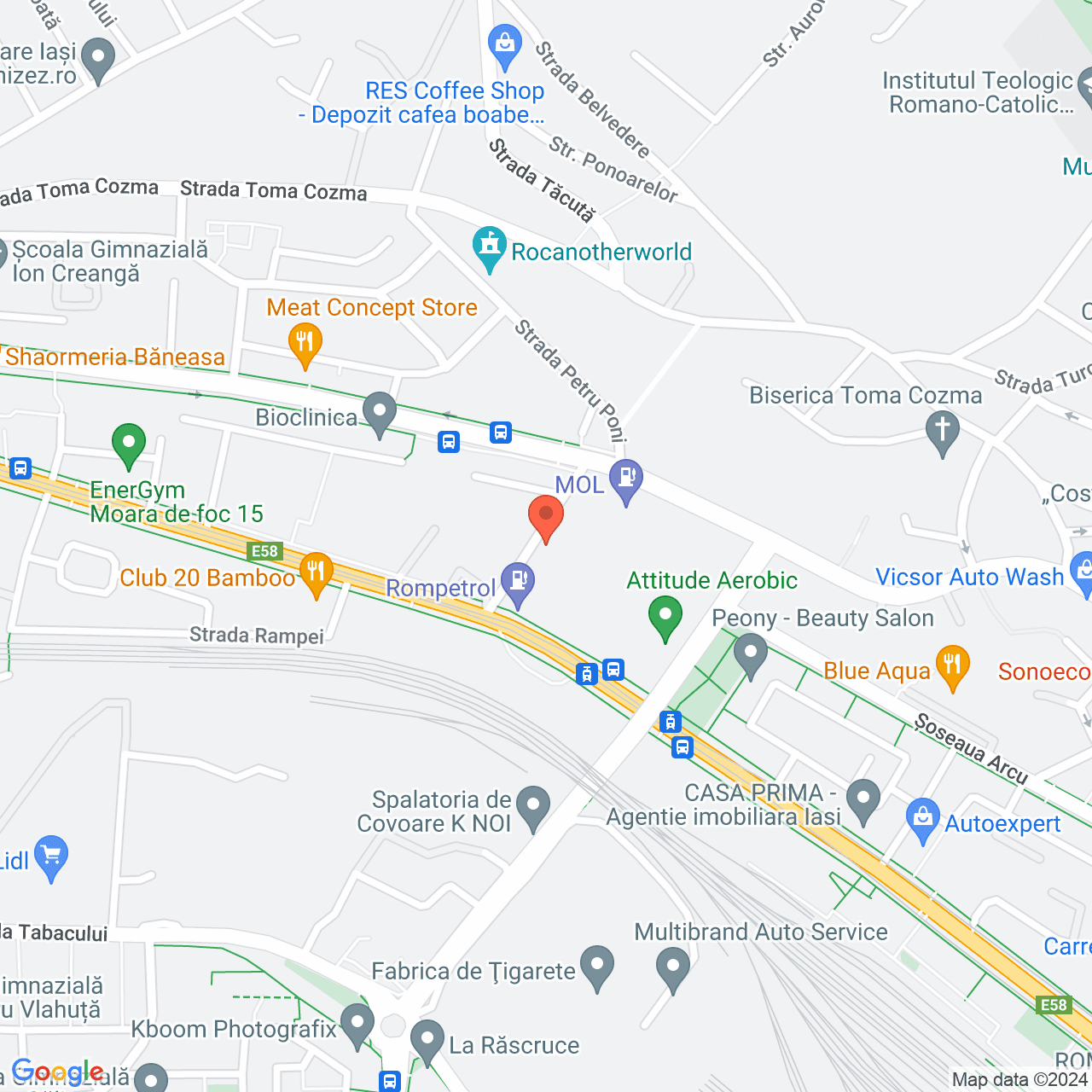 Poza harta streetview, zoom 16, adresa Iasi Str. Niciman nr. 1, , judetul