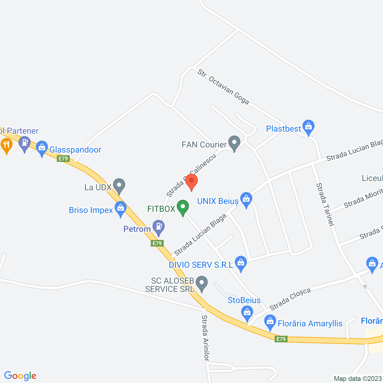 Poza harta streetview, zoom 16, adresa Beius, str. Nicolae Iorga, nr. 1, , judetul