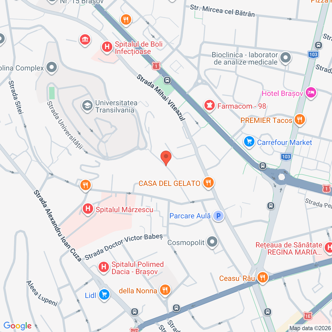 Poza harta streetview, zoom 16, adresa Brașov, str. Dealu Morii, , judetul