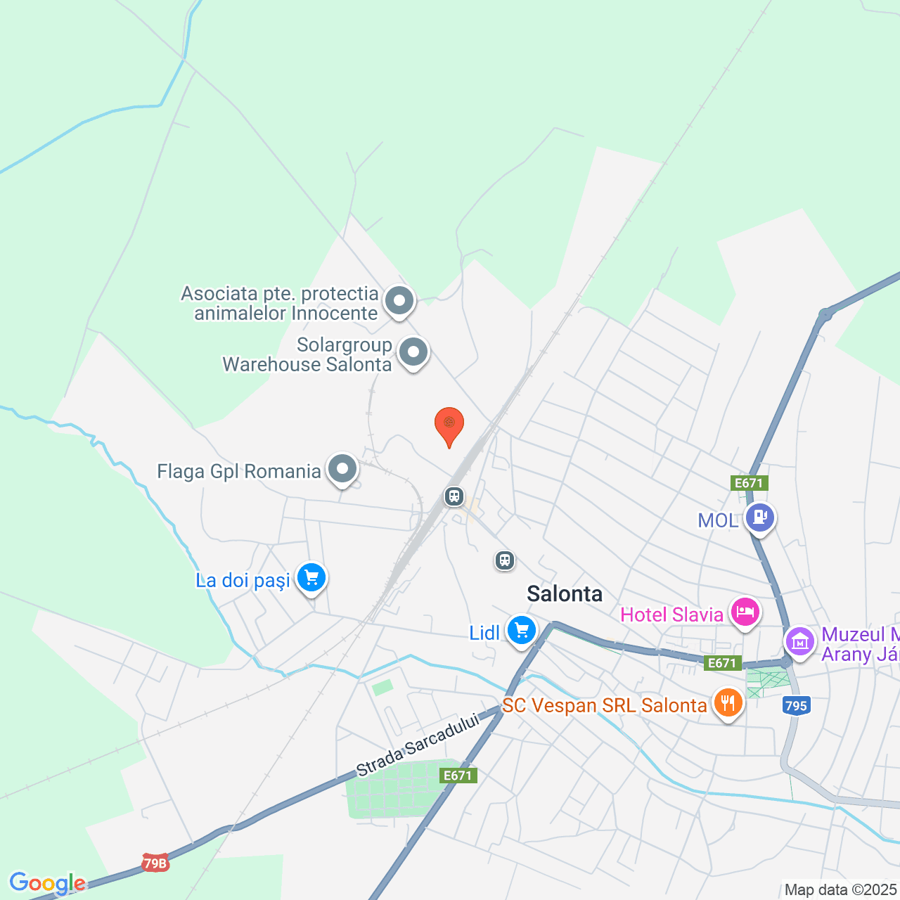 Poza harta streetview, zoom 14, adresa Salonta, str. Ghestului nr. 1/B, jud Bihor, , judetul