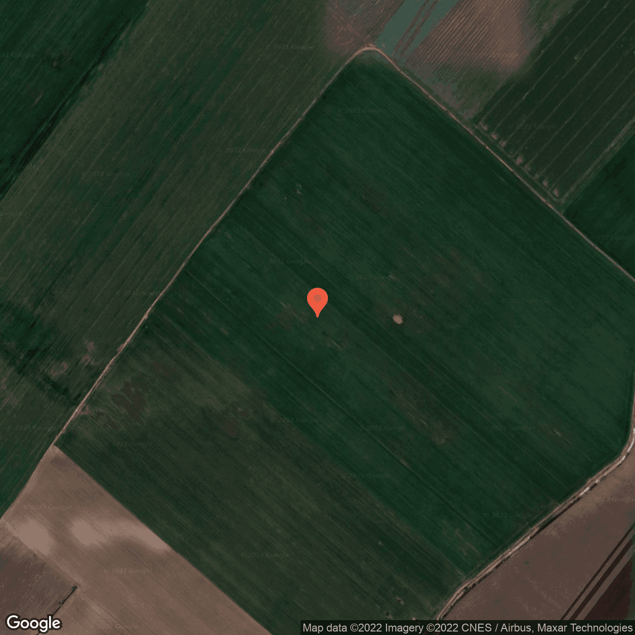 Poza harta hybrid, zoom 16, adresa Varasti , Varasti, judetul Giurgiu