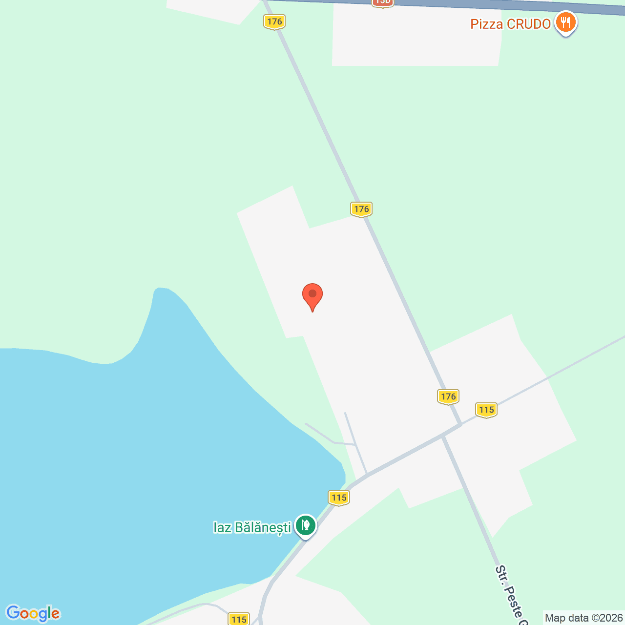 Poza harta streetview, zoom 16, adresa satului Bălăneşti, comuna Bârgăuani, județul Neamț, , judetul