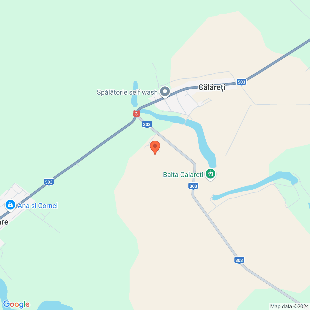 Poza harta streetview, zoom 14, adresa Calareti Tamadau Mare, , judetul