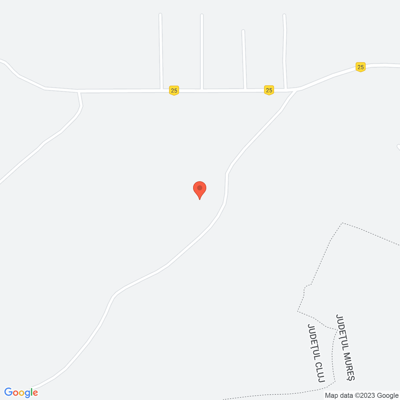 Poza harta streetview, zoom 16, adresa Năoiu, , judetul