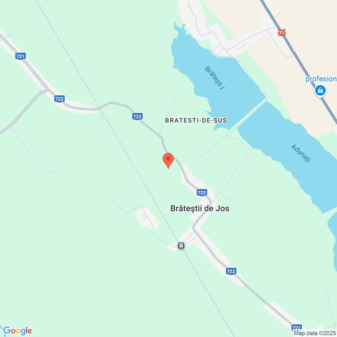 Poza harta streetview, zoom 14, adresa Vacaresti, sat Bratestii de Jos, Dâmbovița, , judetul