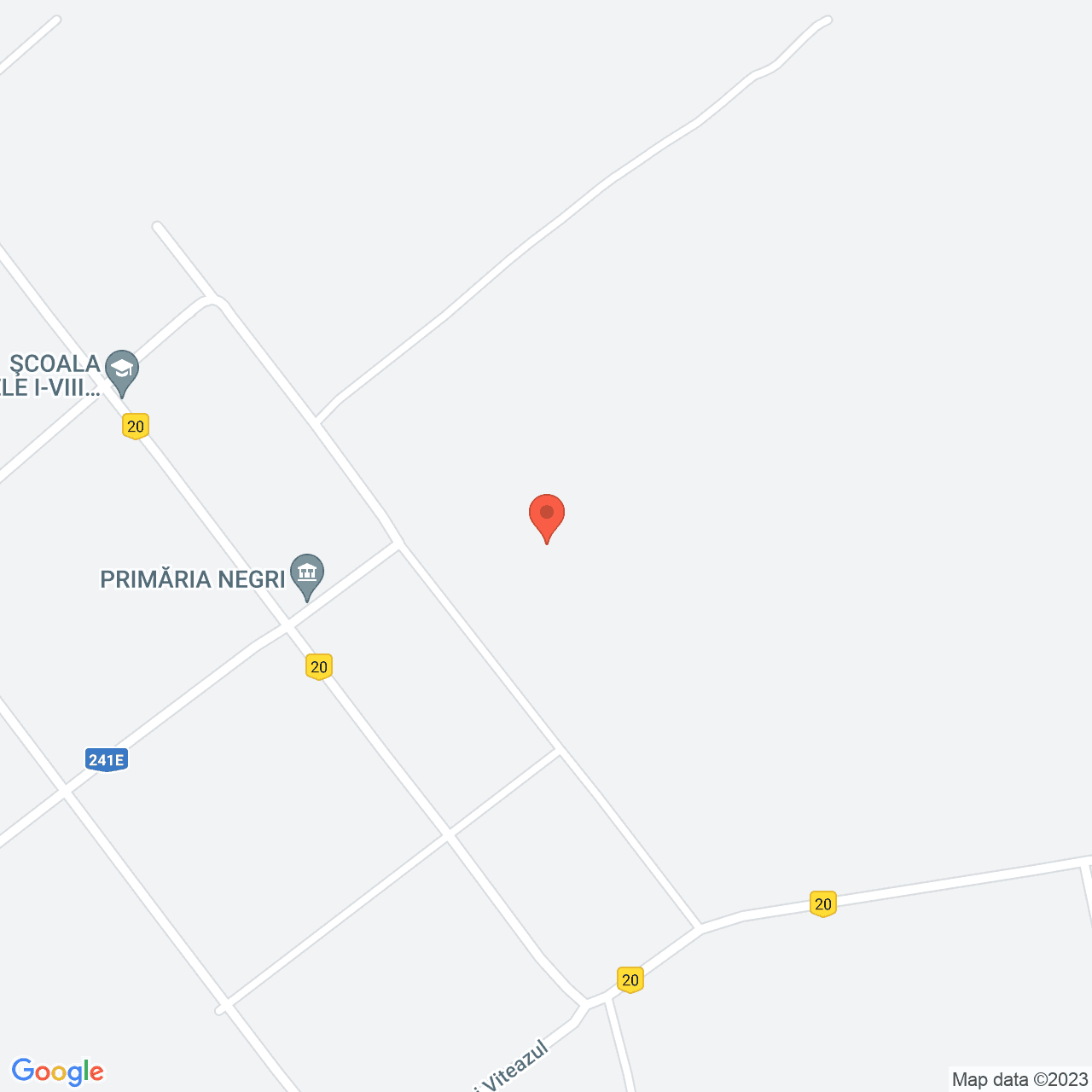 Poza harta streetview, zoom 16, adresa Negri Bacau, , judetul