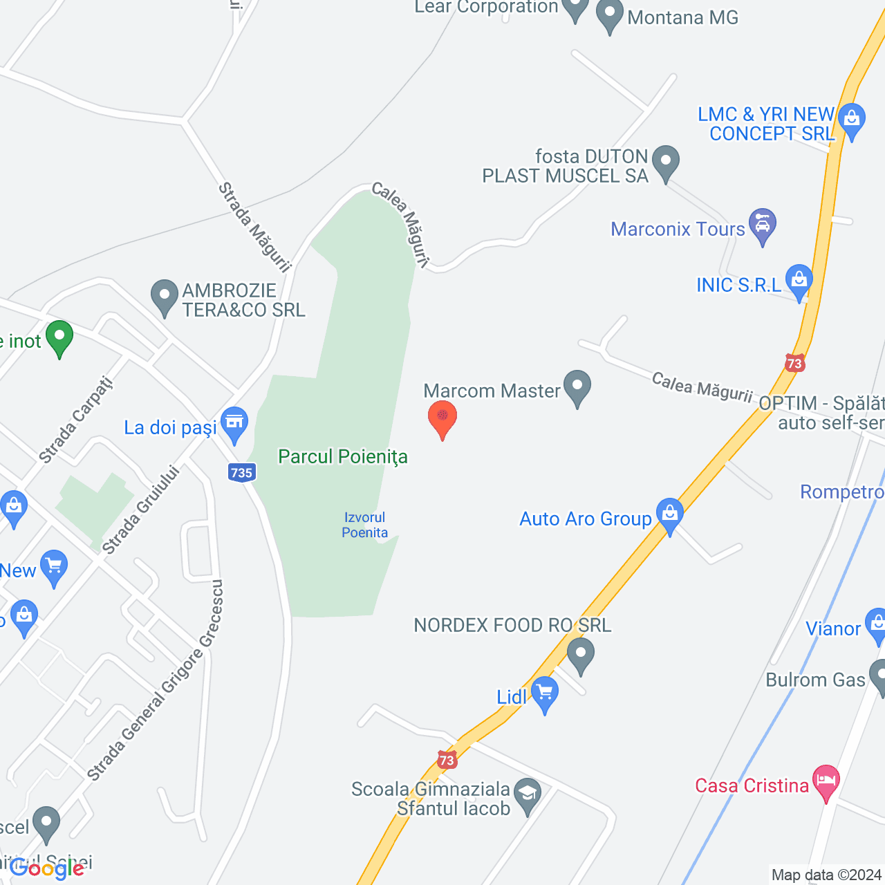 Poza harta streetview, zoom 16, adresa Campulung Arges, , judetul