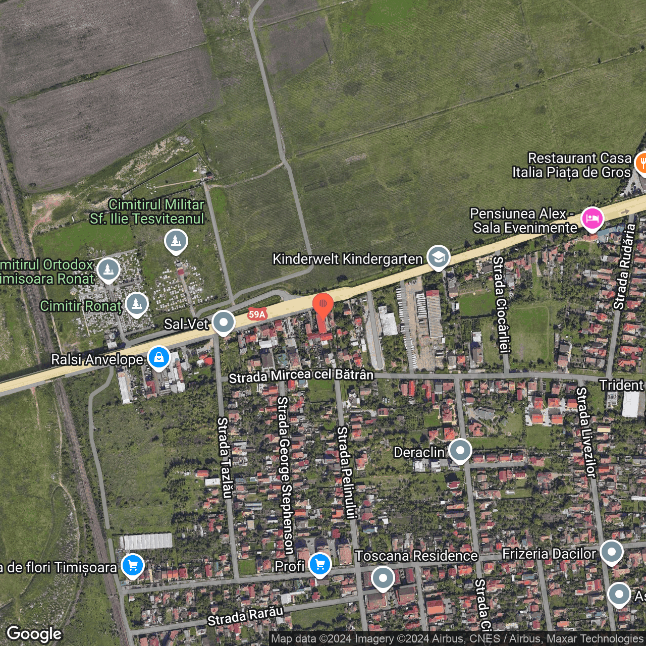 Poza harta hybrid, zoom 16, adresa TIMISOARA, strada Ovidiu Balea nr. 39, , judetul