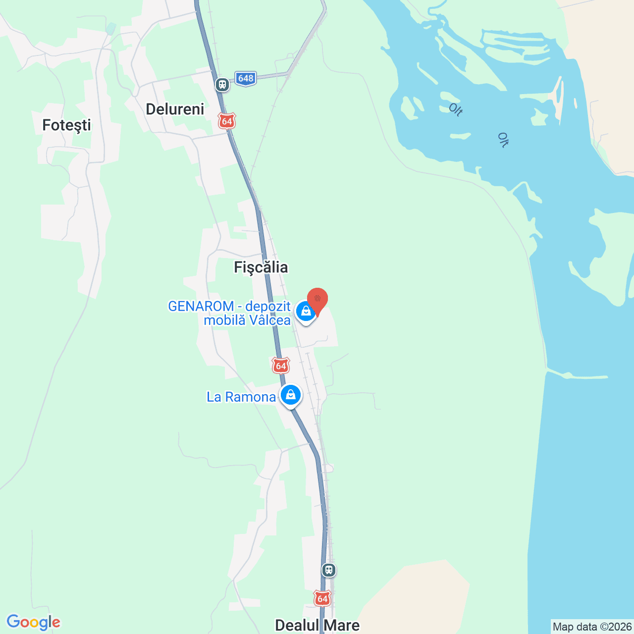 Poza harta streetview, zoom 14, adresa Ionesti Valcea, , judetul