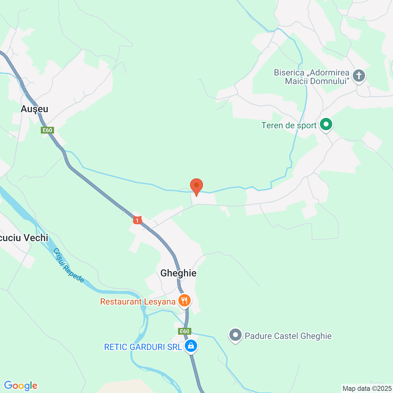 Poza harta streetview, zoom 14, adresa Auseu Bihor, , judetul