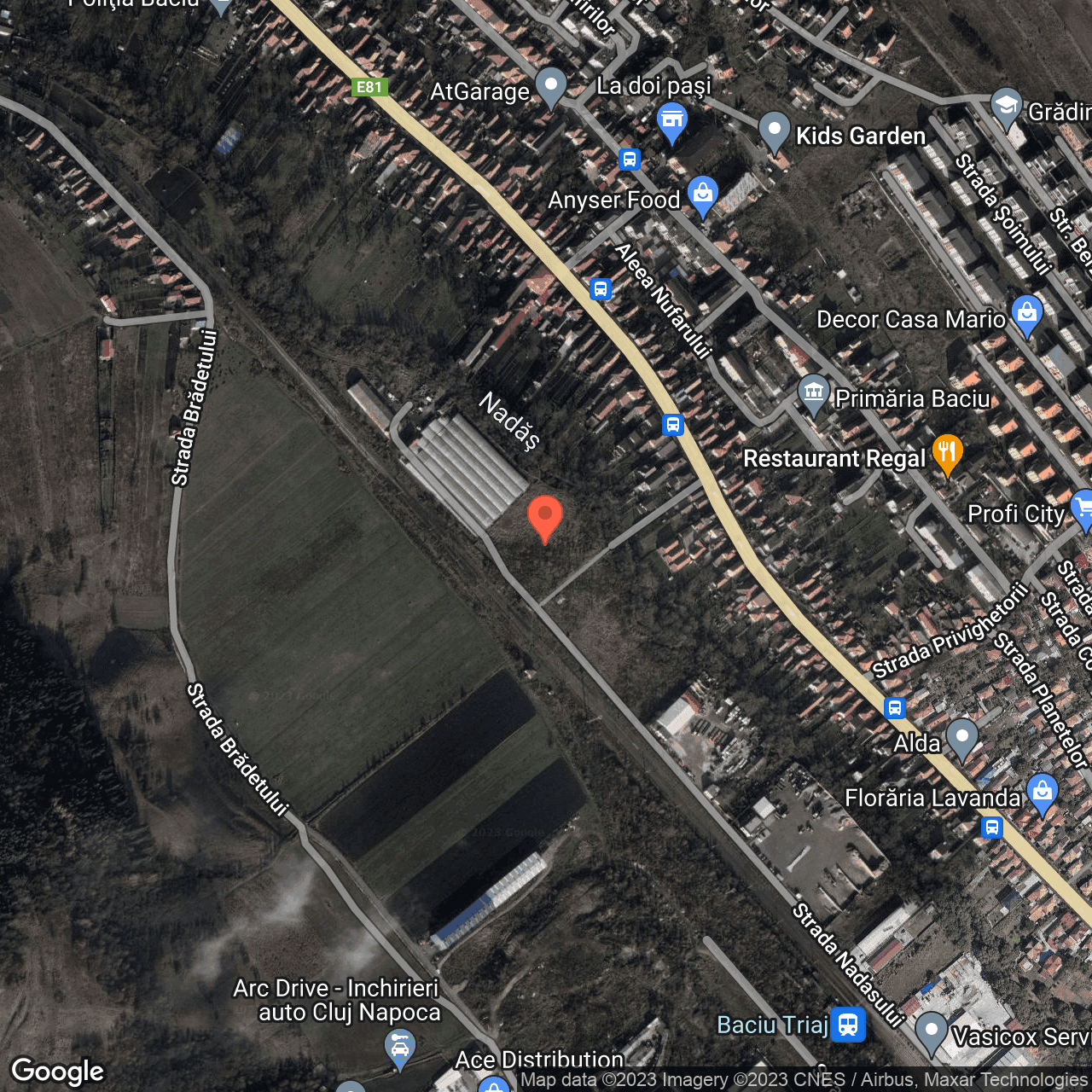 Poza harta hybrid, zoom 16, adresa Baciu Cluj, , judetul