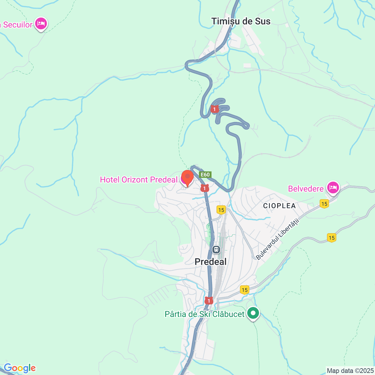 Poza harta streetview, zoom 14, adresa Predeal, str. Trei Brazi nr.6, , judetul