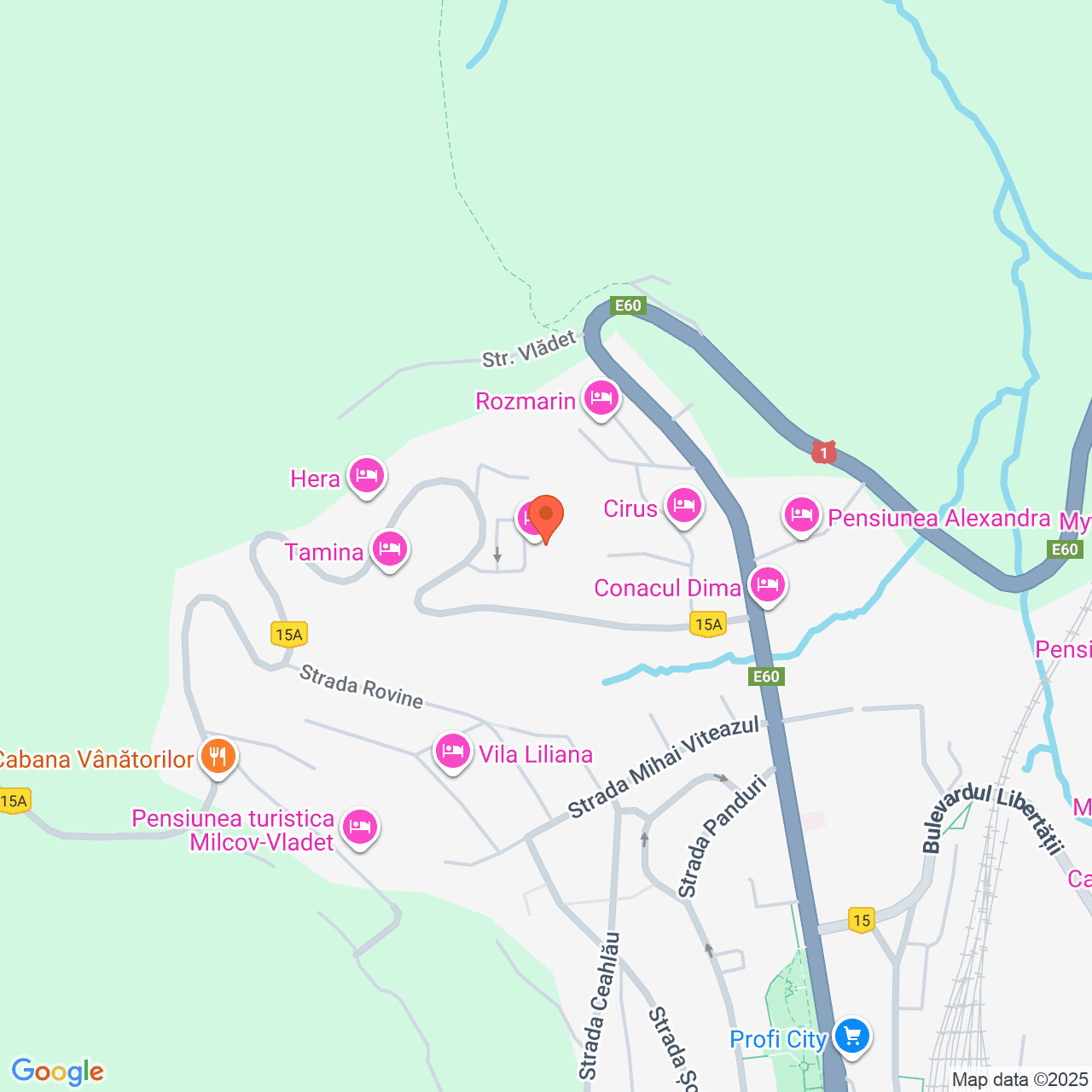 Poza harta streetview, zoom 16, adresa Predeal, str. Trei Brazi nr.6, , judetul