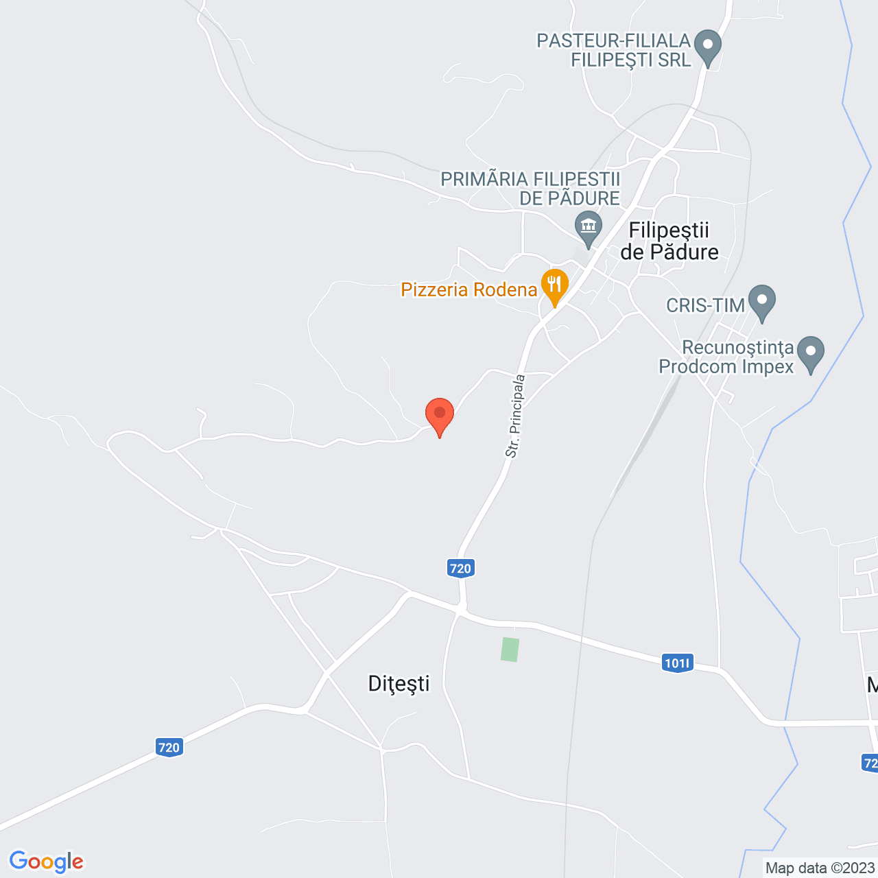 Poza harta streetview, zoom 14, adresa Filipestii de Padure, , judetul