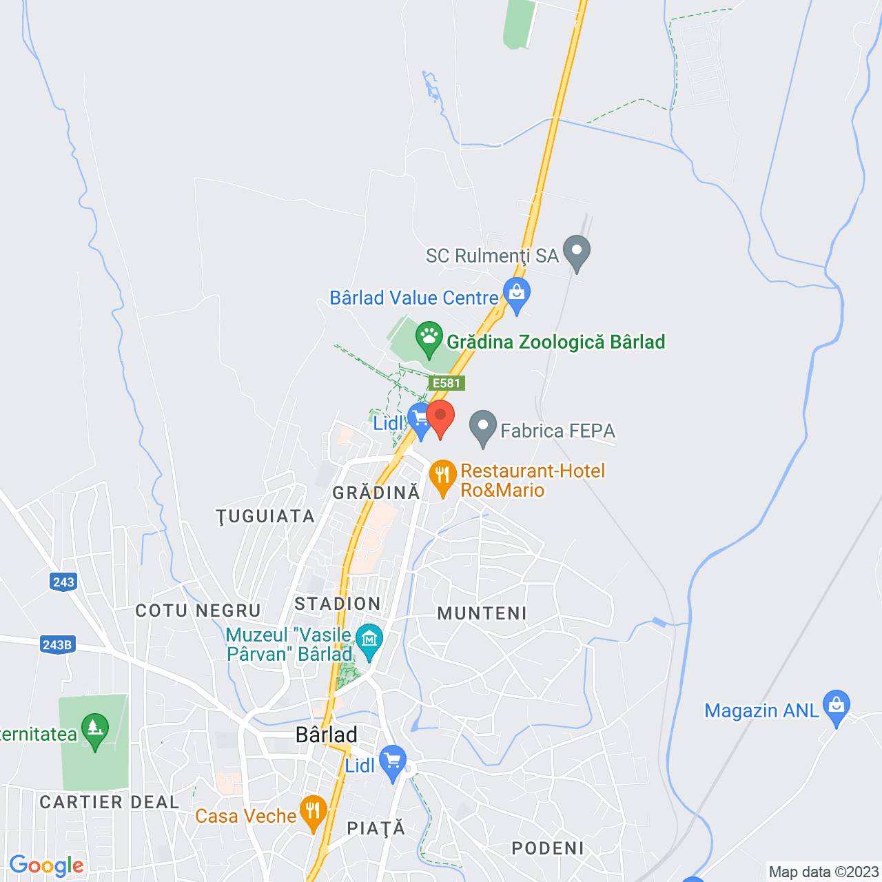 Poza harta streetview, zoom 14, adresa Republicii 316 Barlad, , judetul