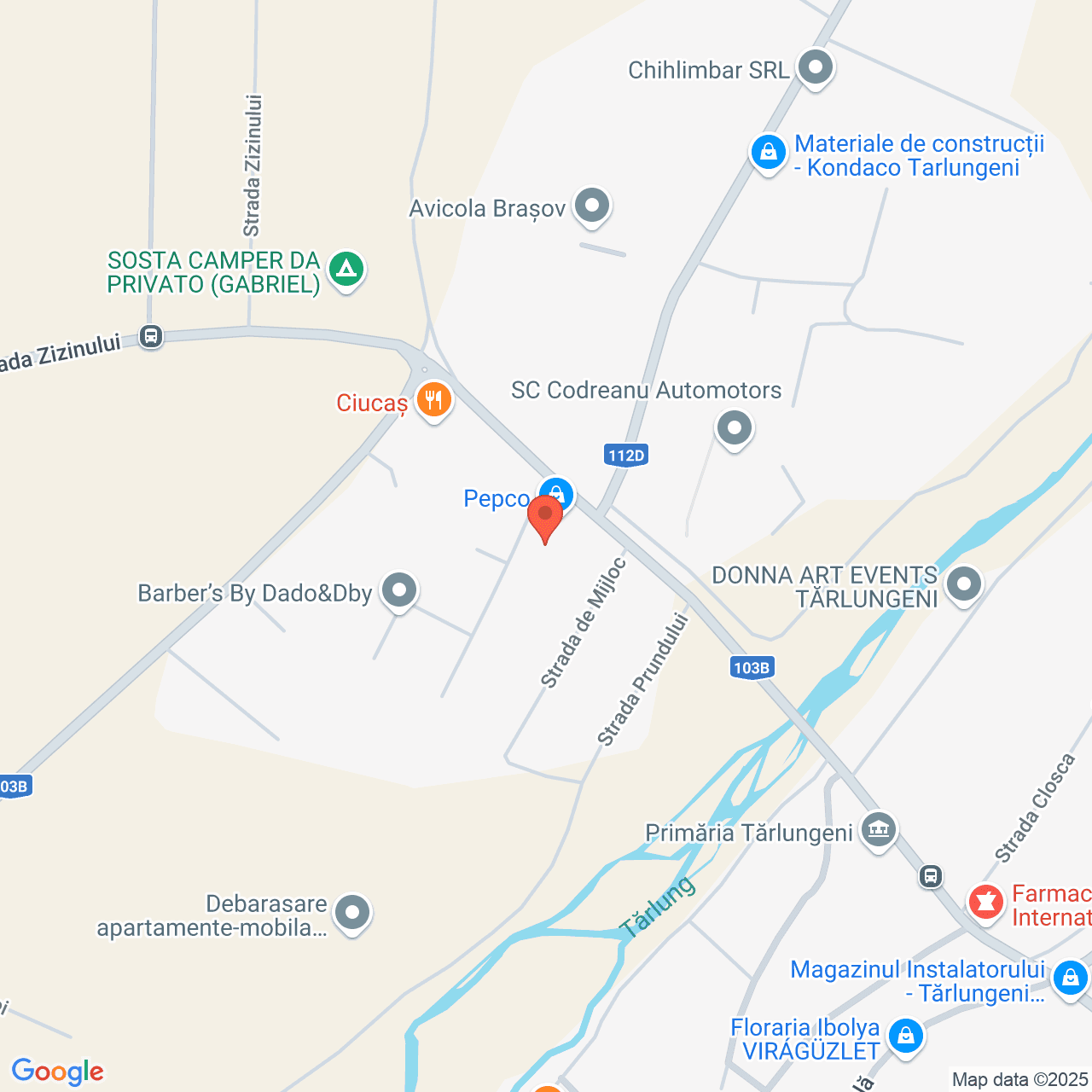 Poza harta streetview, zoom 16, adresa Tarlungeni Brasov, , judetul