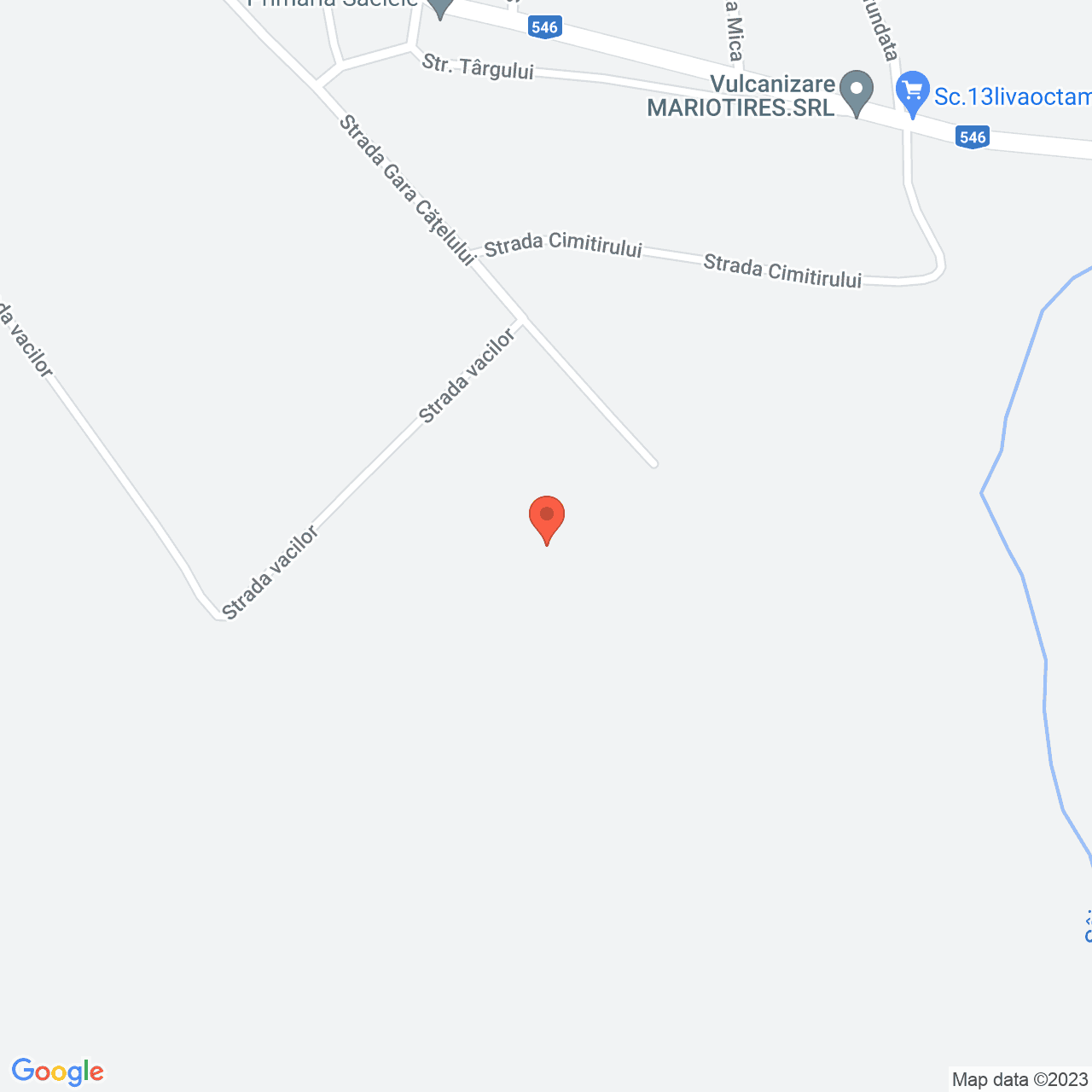 Poza harta streetview, zoom 16, adresa Saelele, , judetul