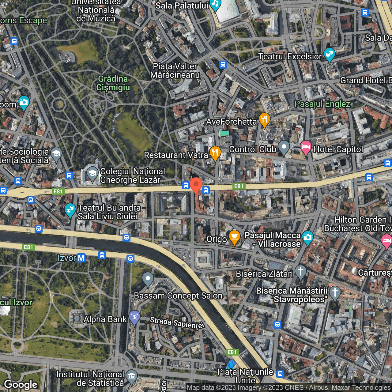 Poza harta hybrid, zoom 16, adresa Bulevardul Regina Elisabeta numarul 45, , judetul