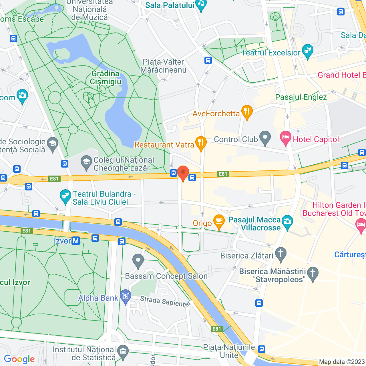 Poza harta streetview, zoom 16, adresa Bulevardul Regina Elisabeta numarul 45, , judetul