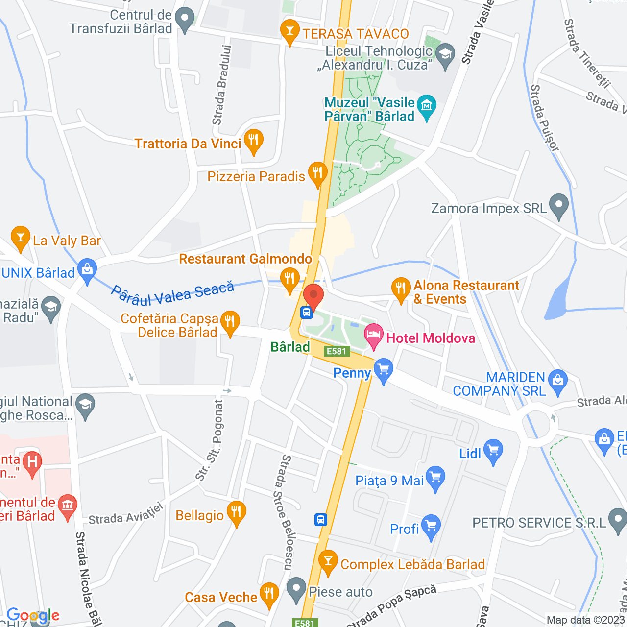 Poza harta streetview, zoom 16, adresa Ion Iacomi 54 Barlad, , judetul