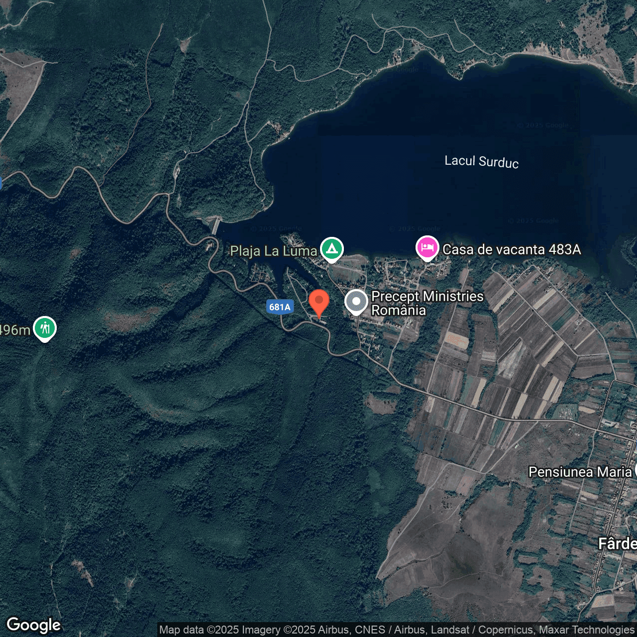 Poza harta hybrid, zoom 14, adresa Fardea, jud. Timis, , judetul