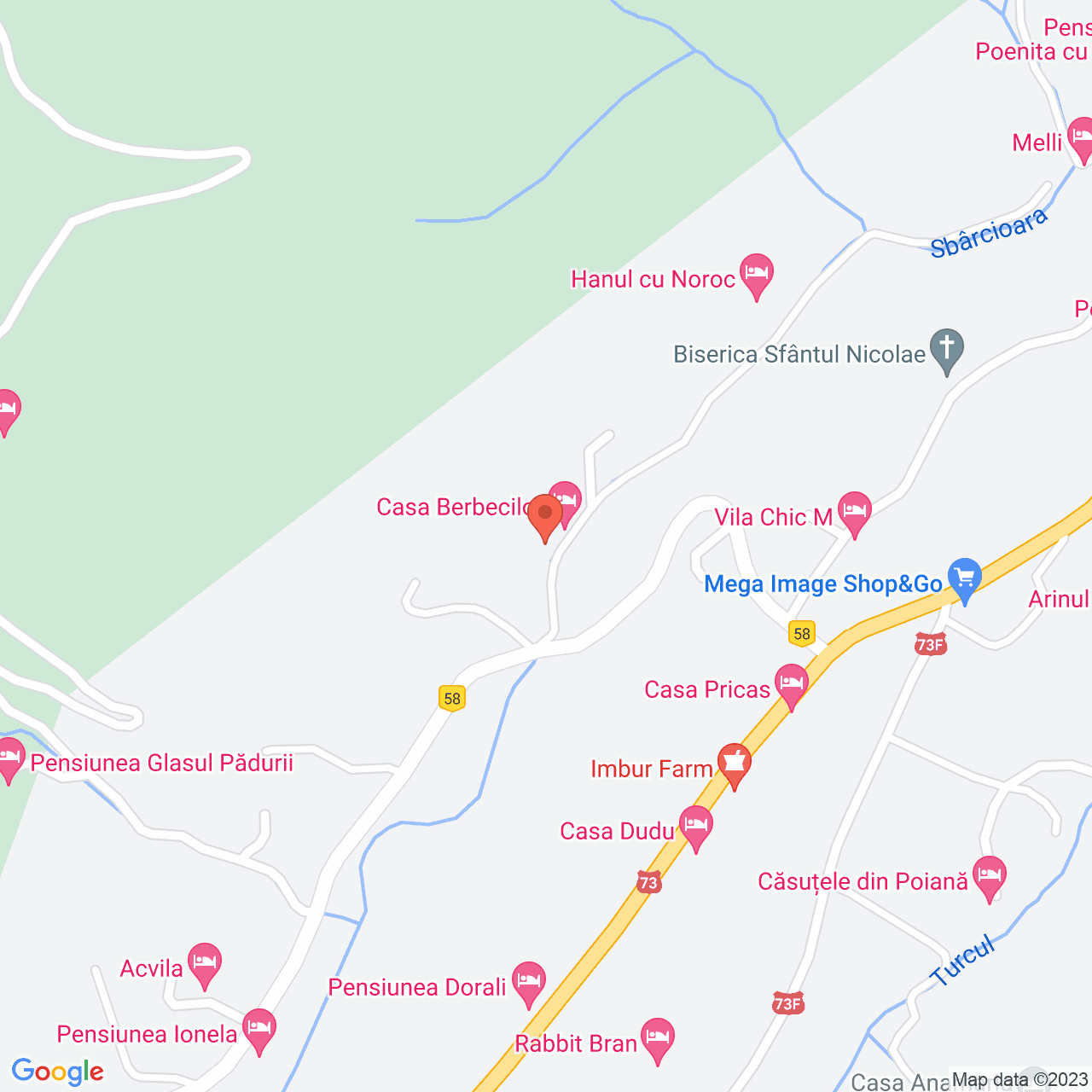 Poza harta streetview, zoom 16, adresa Moieciu de Jos, str. Zbarcioara nr. 64C, , judetul