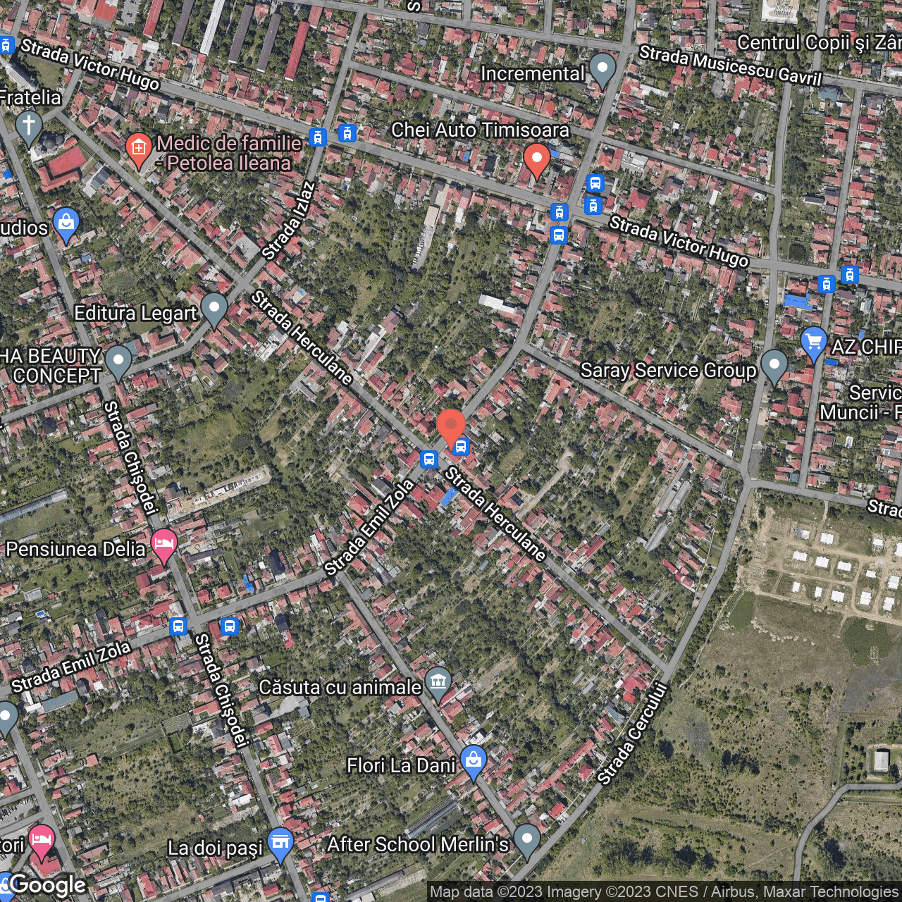 Poza harta hybrid, zoom 16, adresa Timisoara, str. Herculane, nr. 83, , judetul