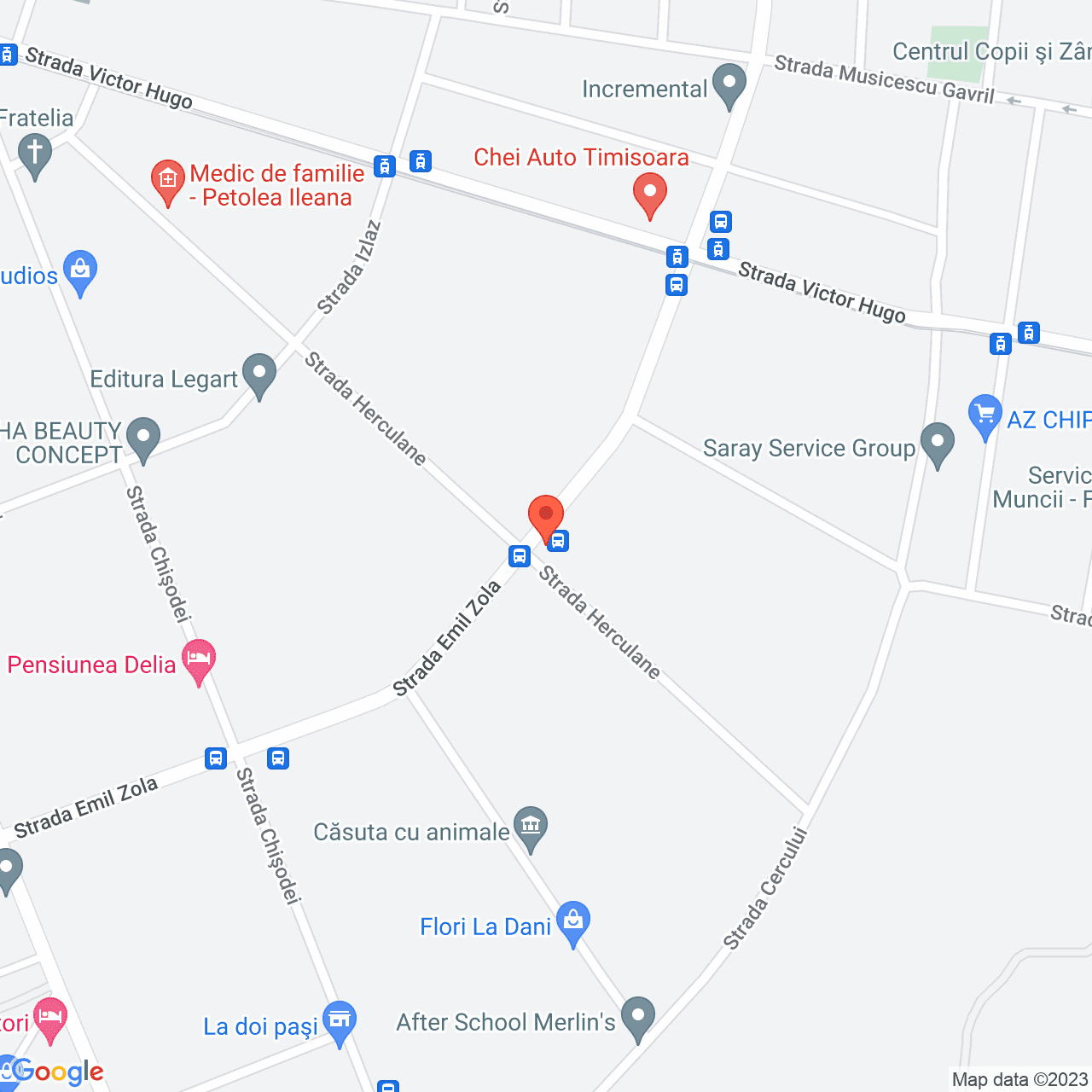 Poza harta streetview, zoom 16, adresa Timisoara, str. Herculane, nr. 83, , judetul