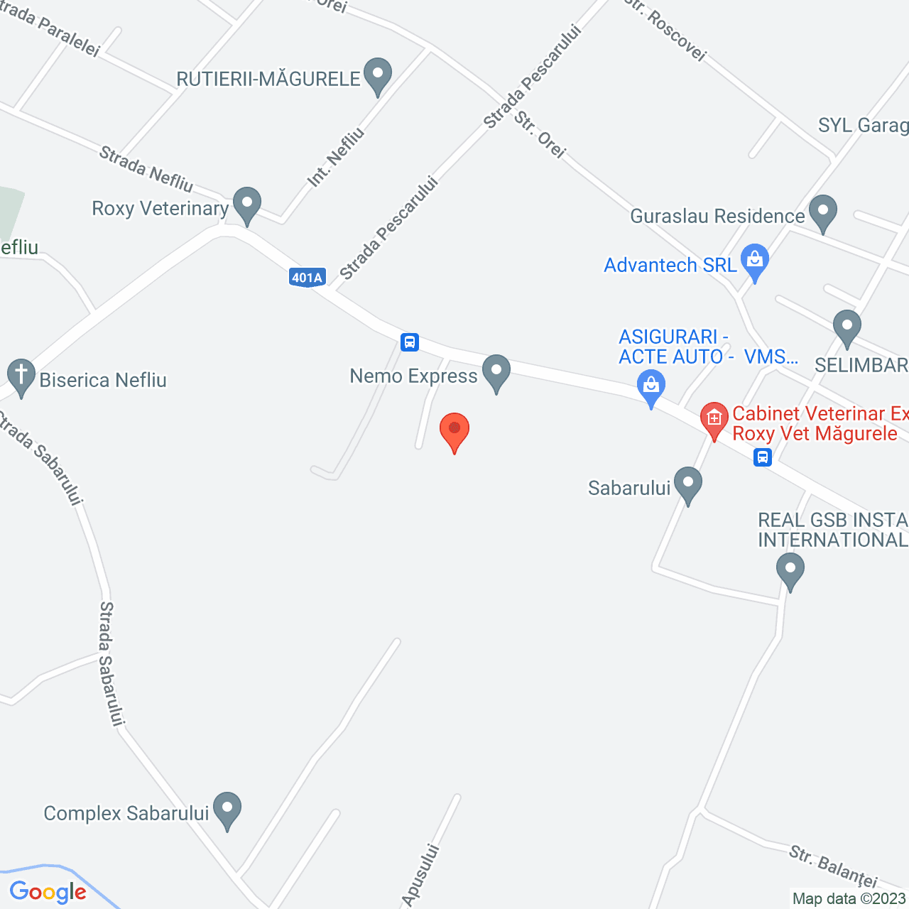 Poza harta streetview, zoom 16, adresa Vârteju, str. Unirii nr. 11, , judetul