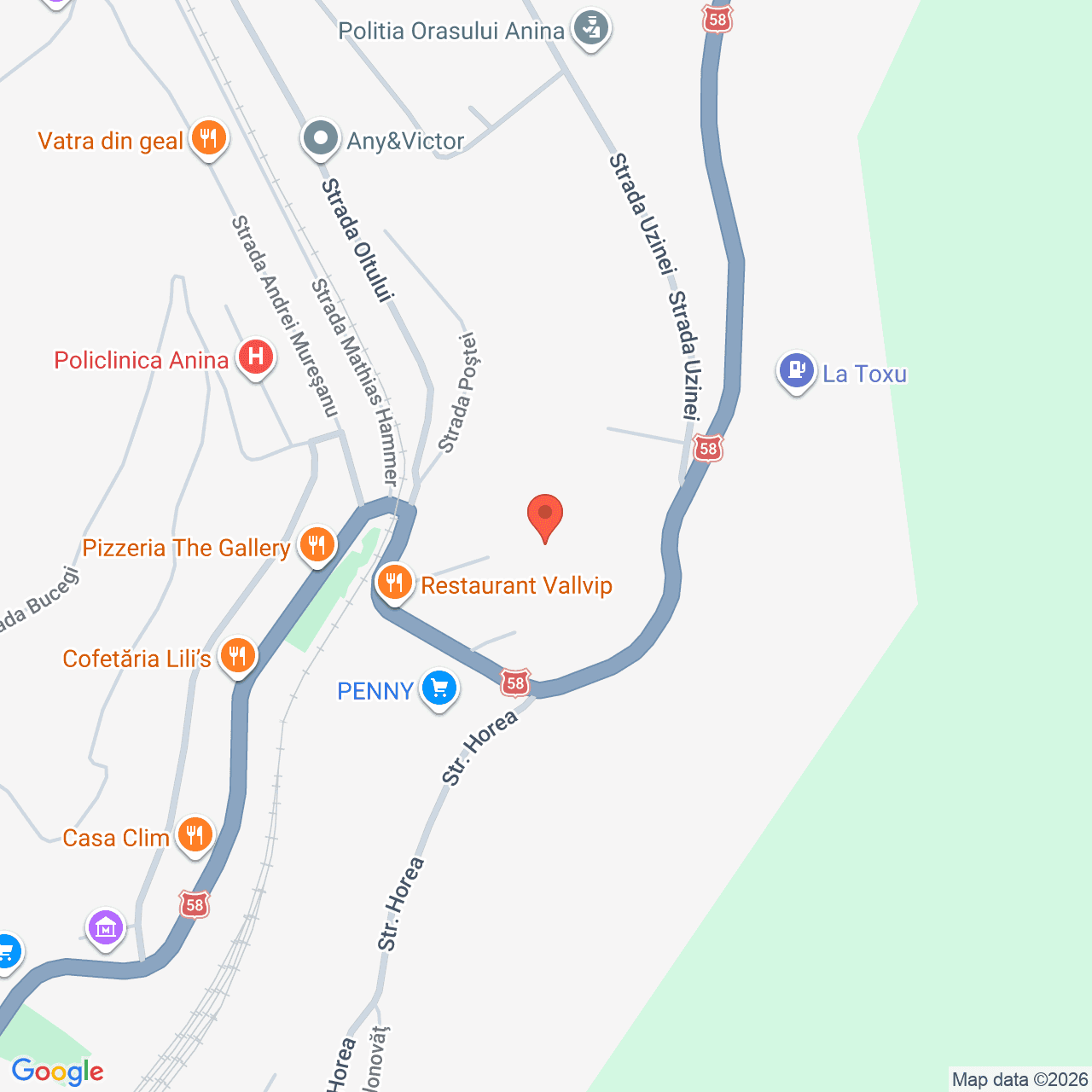 Poza harta streetview, zoom 16, adresa Anina Strada Uzinei nr. 1, , judetul