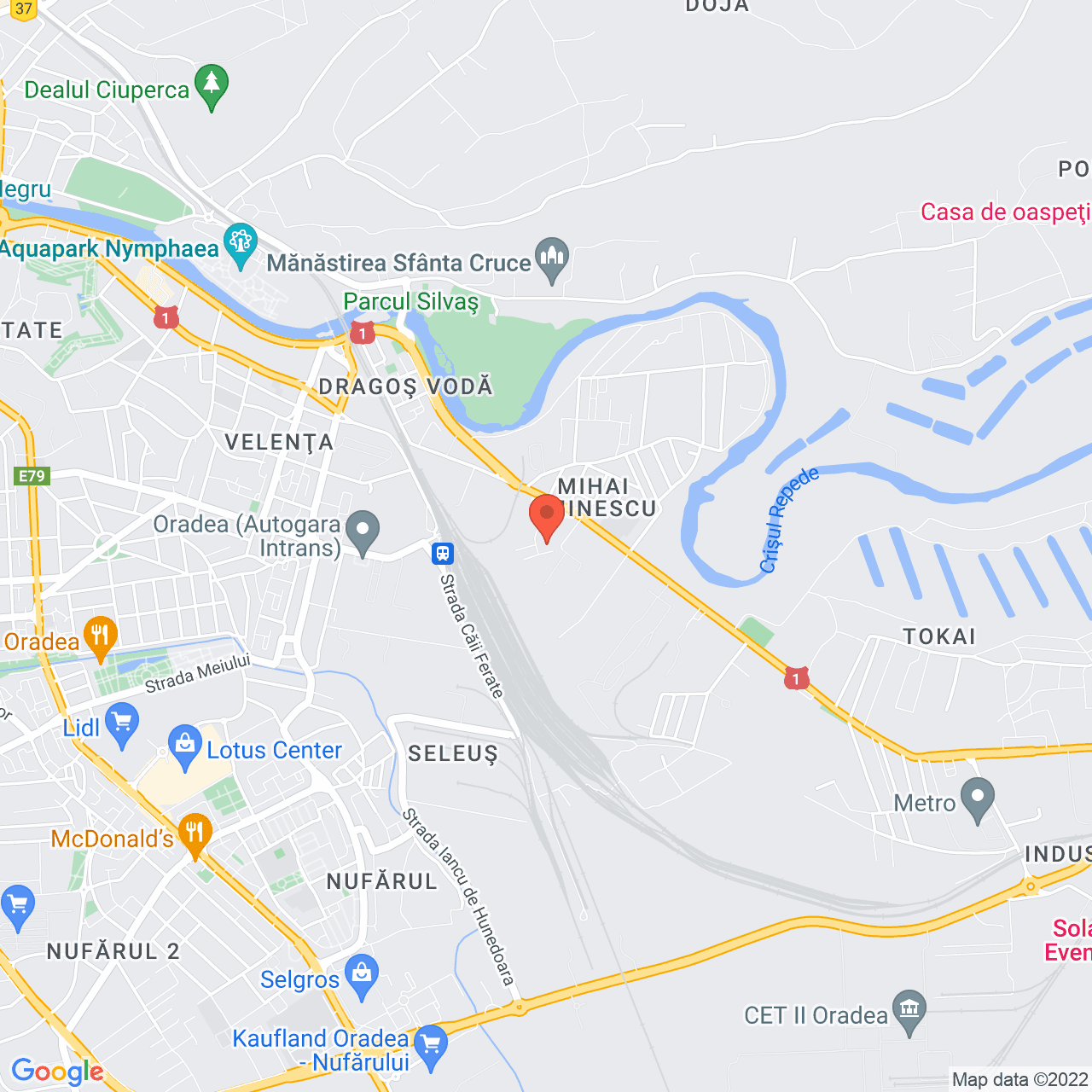 Poza harta streetview, zoom 14, adresa Lotrului 9, Oradea, judetul Bihor