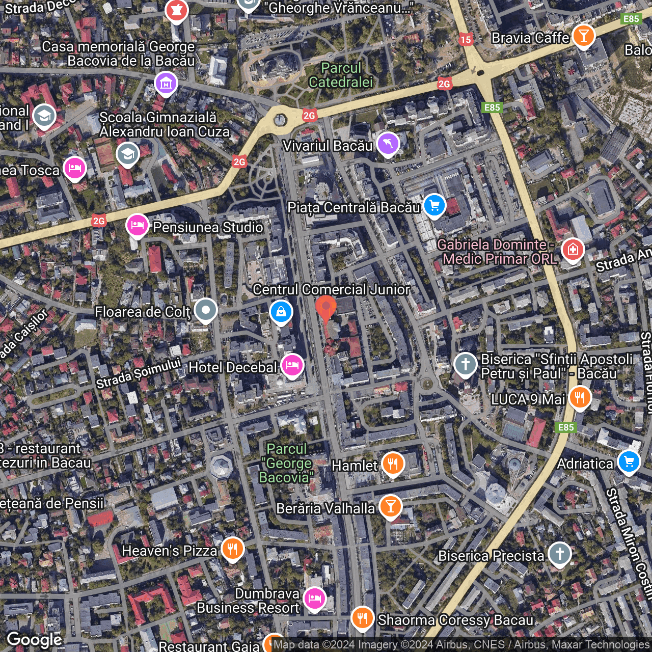 Poza harta hybrid, zoom 16, adresa Bacău, str. N. Bălcescu, nr.10, , judetul