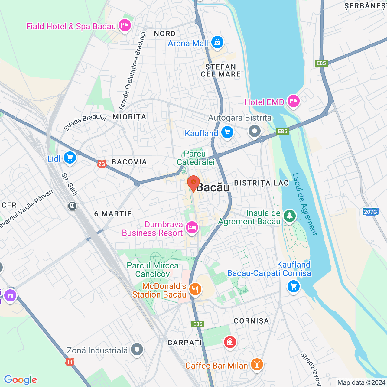 Poza harta streetview, zoom 14, adresa Bacău, str. N. Bălcescu, nr.10, , judetul