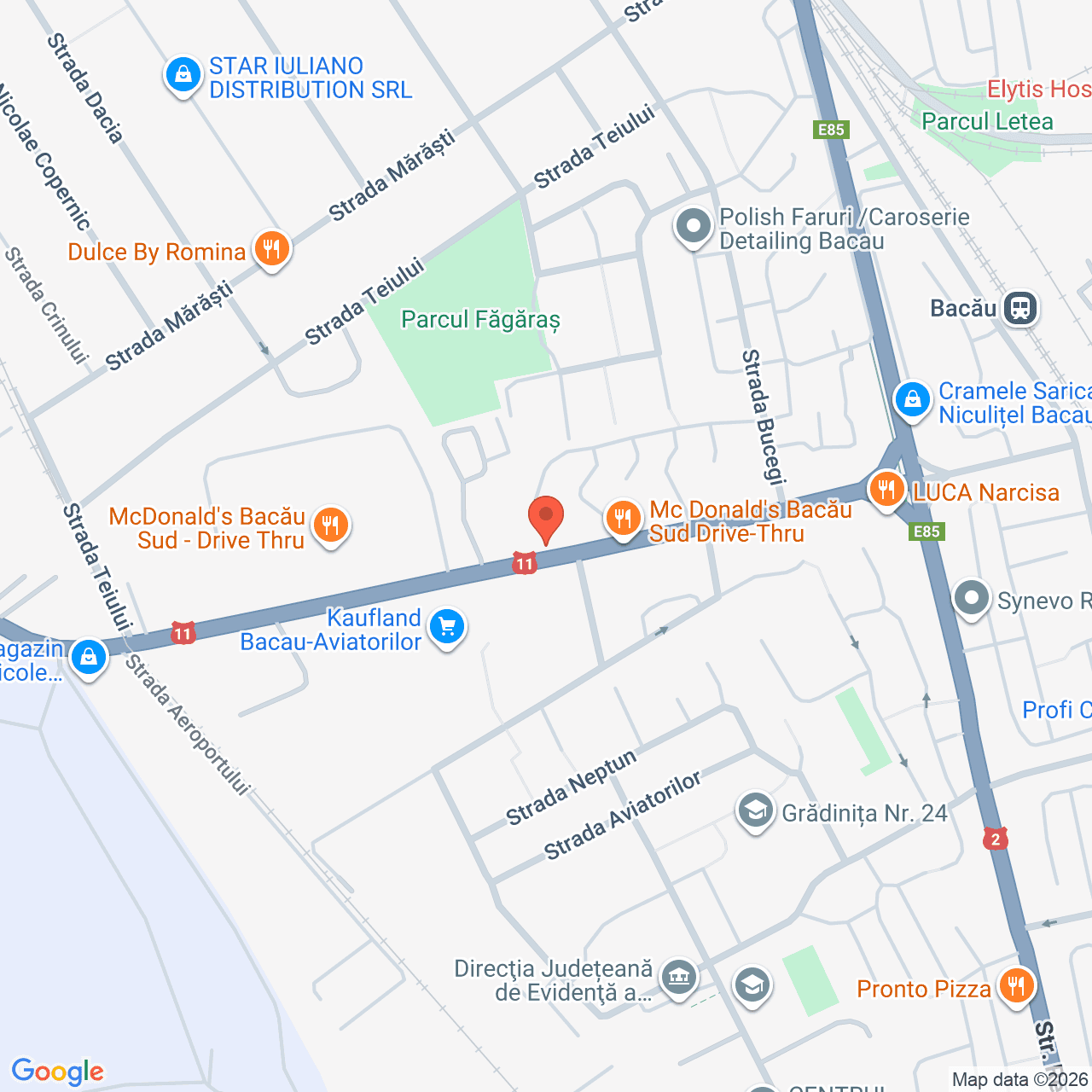 Poza harta streetview, zoom 16, adresa Bacău, str. Narciselor, nr.10, , judetul