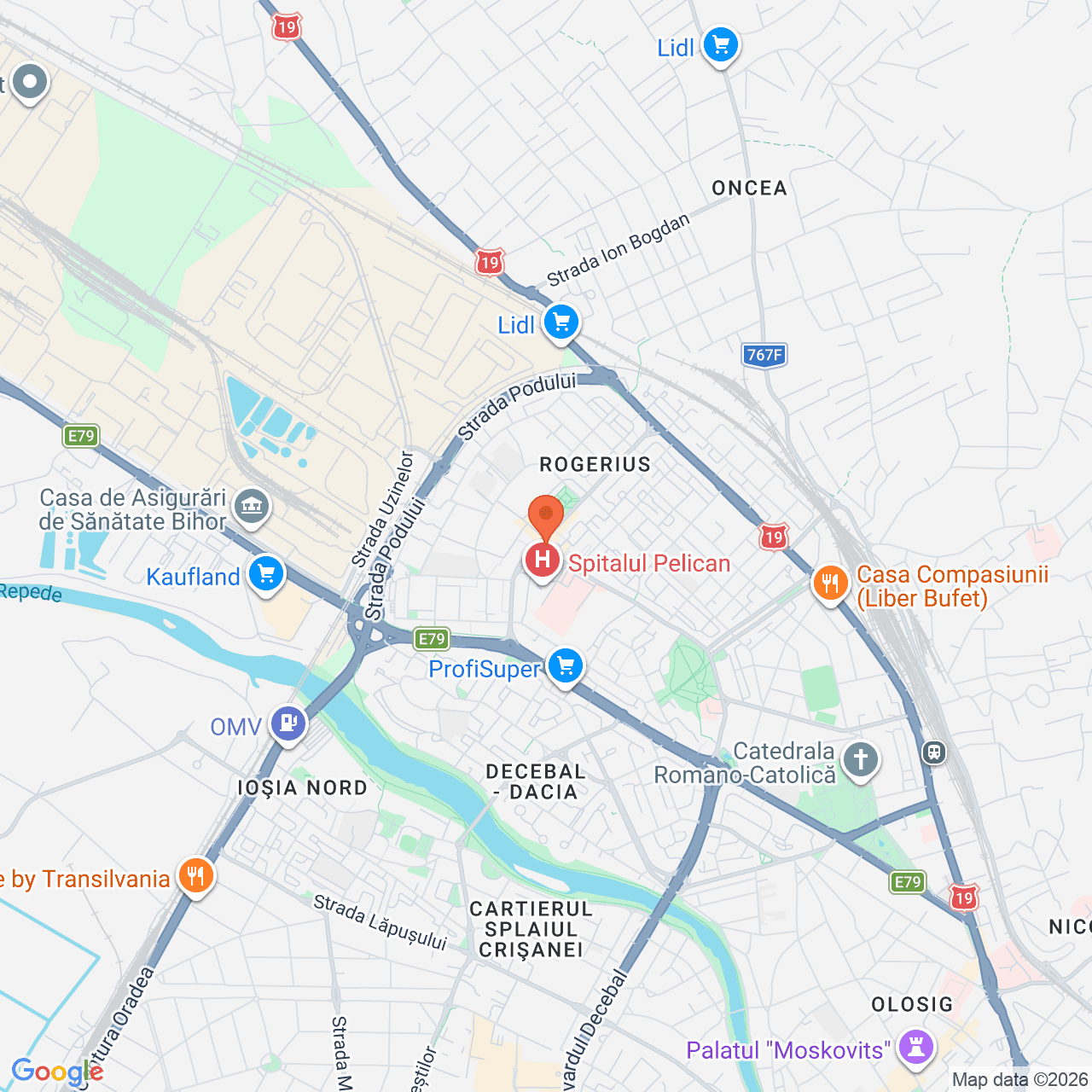 Poza harta streetview, zoom 14, adresa strada Transilvaniei, nr. 9 Oradea, , judetul