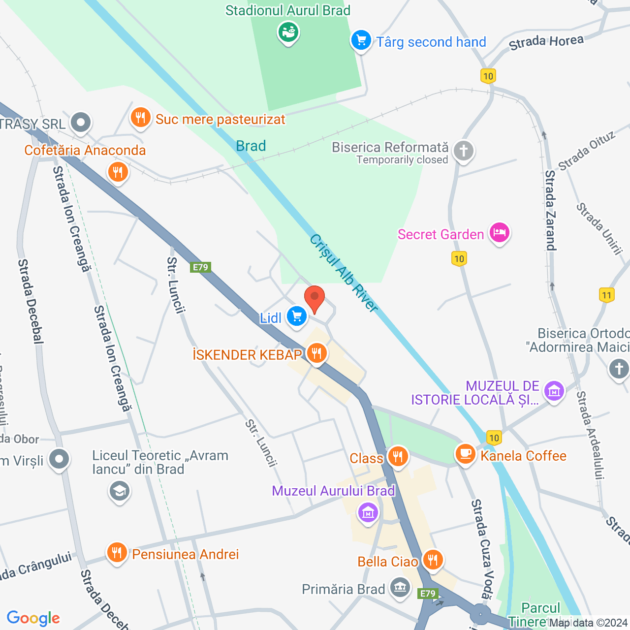 Poza harta streetview, zoom 16, adresa Brad, Piața Avram Iancu, nr. 4-6 judet Hunedoara, , judetul