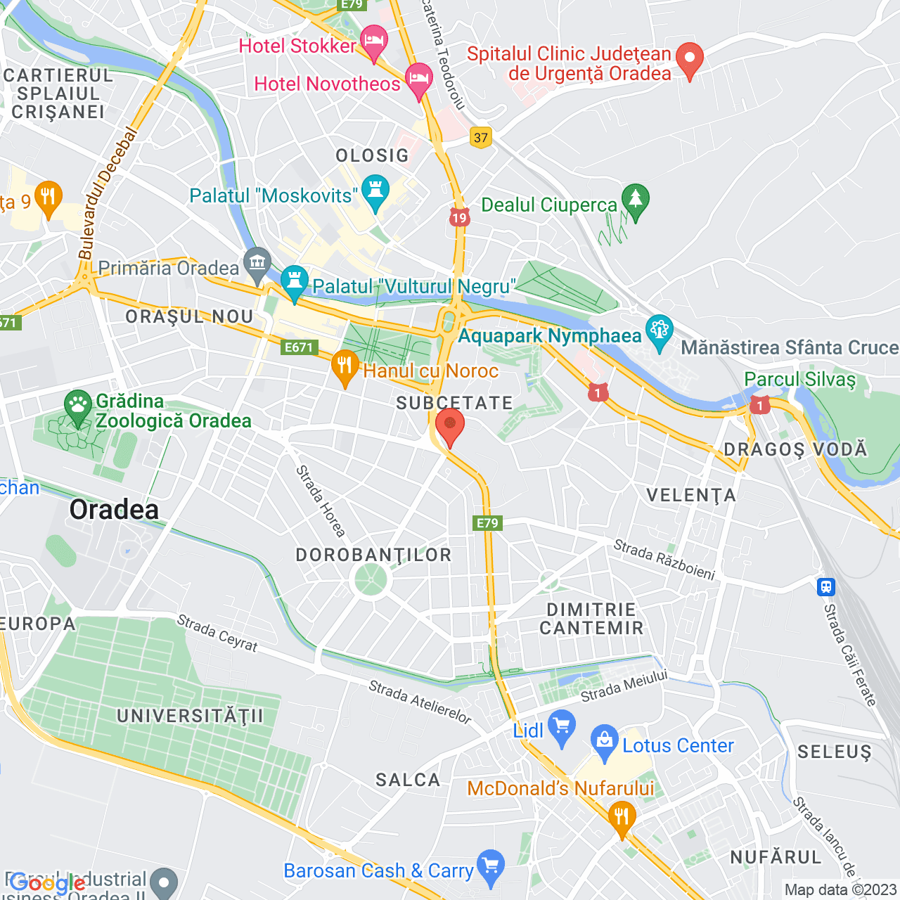 Poza harta streetview, zoom 14, adresa Oradea - Strada Dimitrie Cantemir nr. 4, , judetul