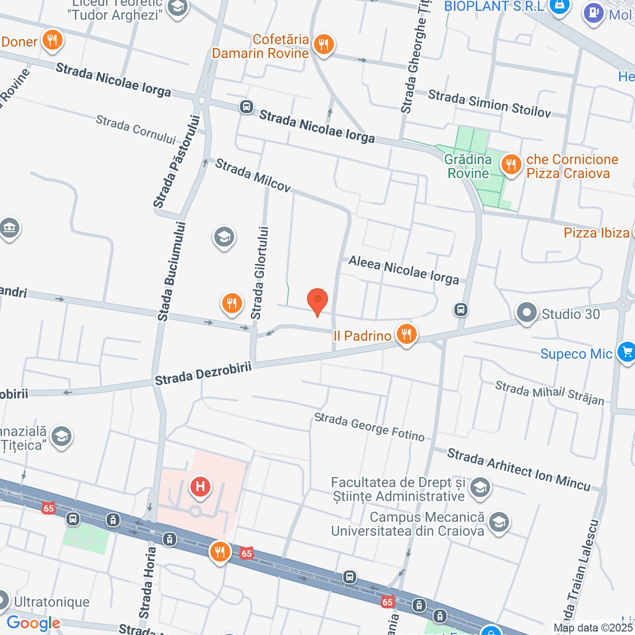 Poza harta streetview, zoom 16, adresa Craiova, str. Desnatui, nr. 26, , judetul