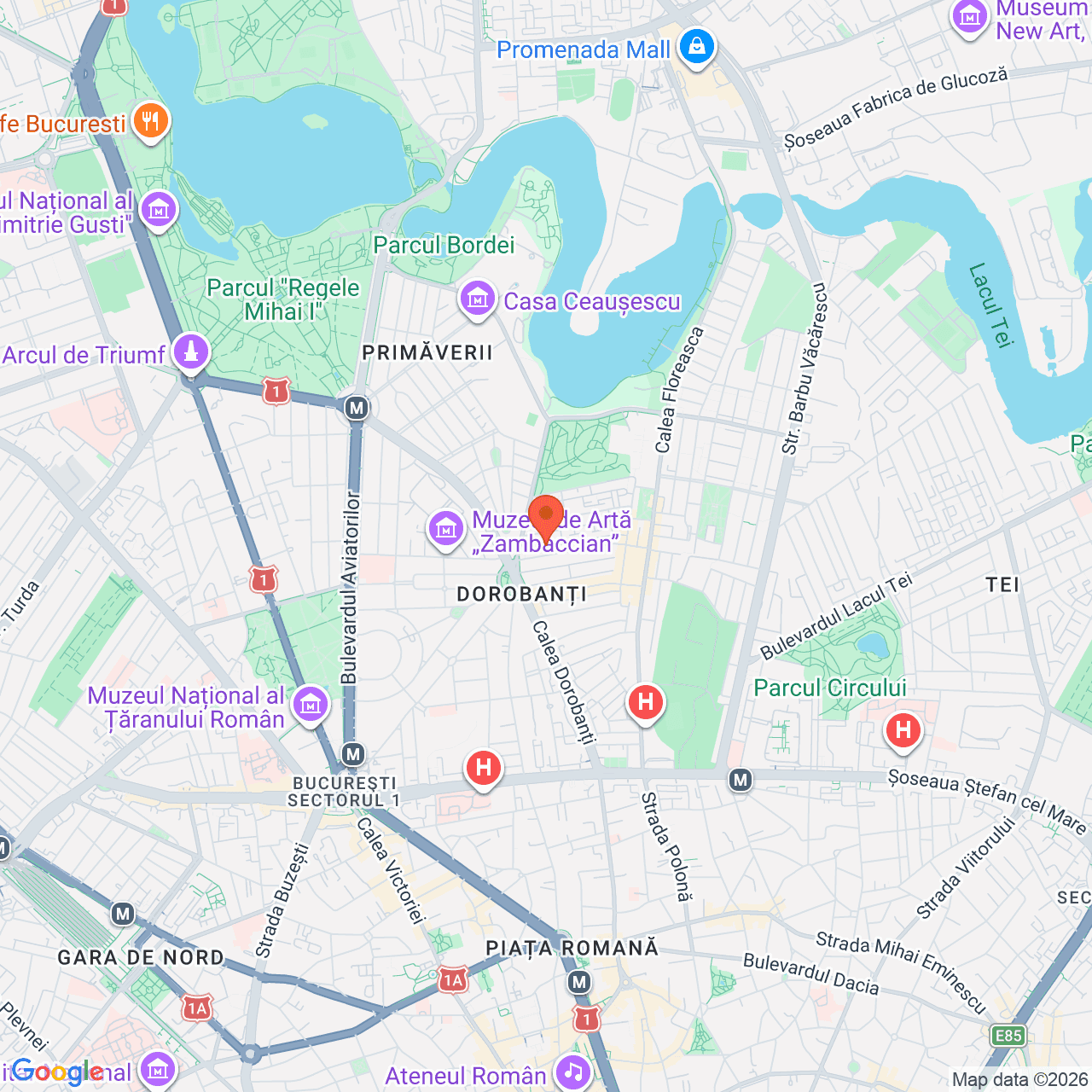 Poza harta streetview, zoom 14, adresa ucurești Sectorul 1, Str Constantin Aricescu, Nr. 5-7, , judetul