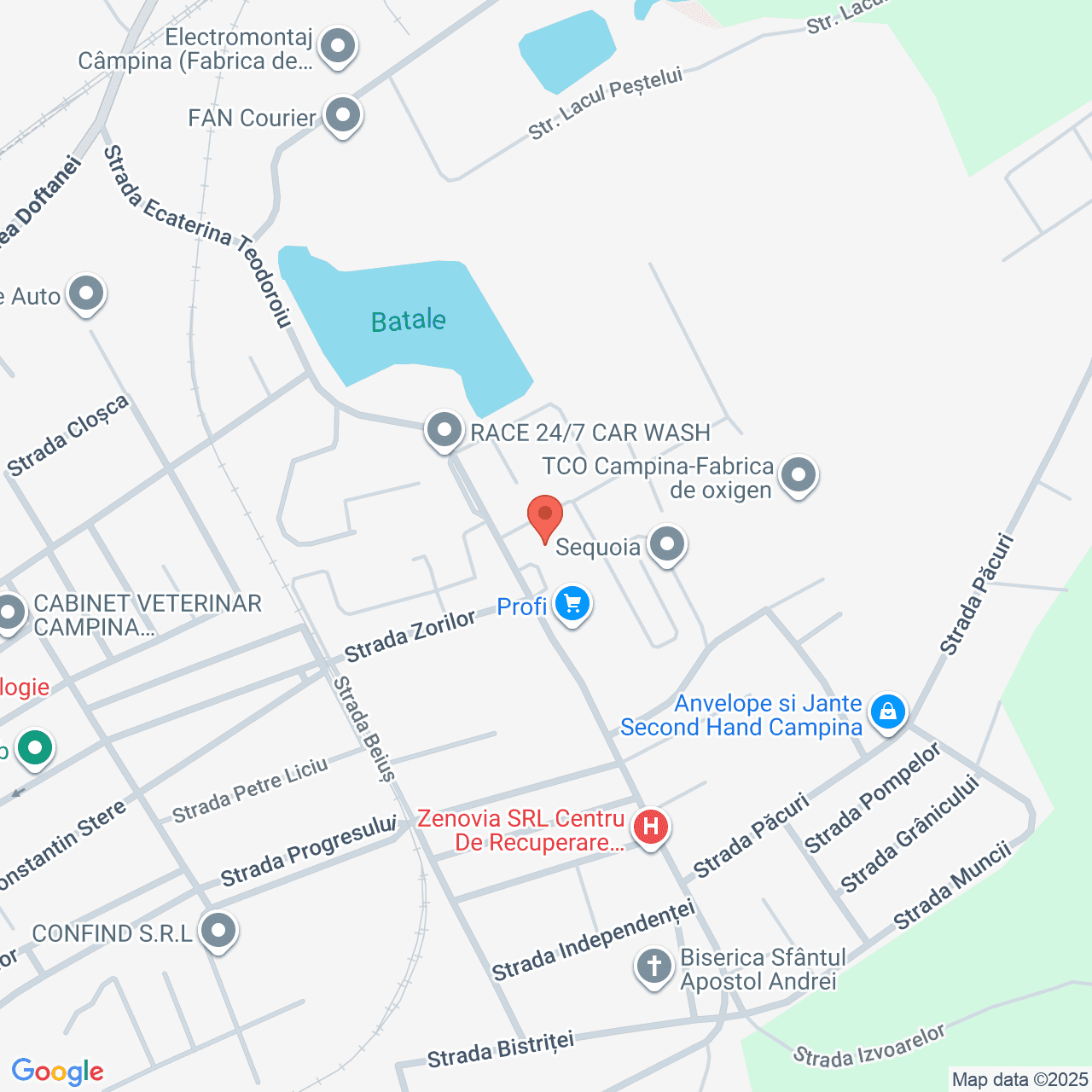 Poza harta streetview, zoom 16, adresa Campina, str. Ecaterina Teodoroiu, nr. 13, , judetul