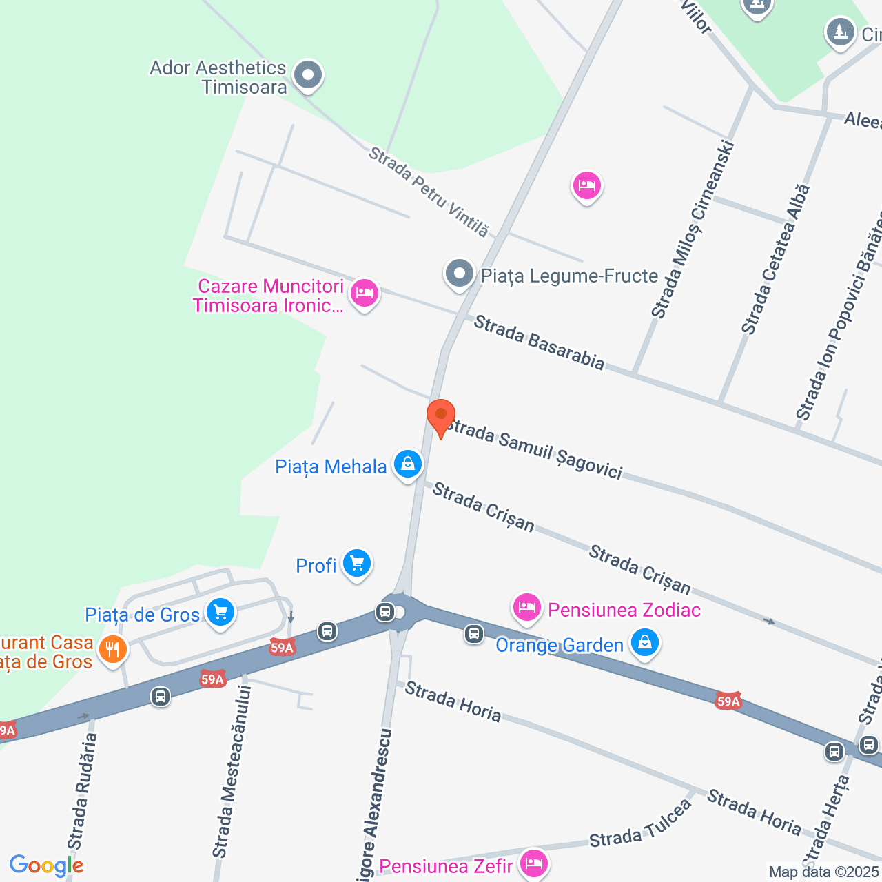 Poza harta streetview, zoom 16, adresa Timişoara, str. Samuil Sagovivi nr 115, , judetul