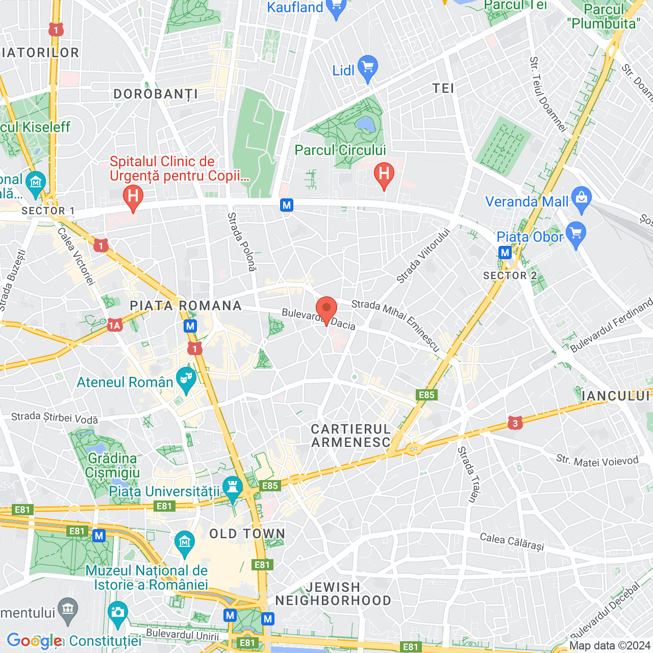 Poza harta streetview, zoom 14, adresa Bucuresti, str.Icoanei nr.41-43, , judetul