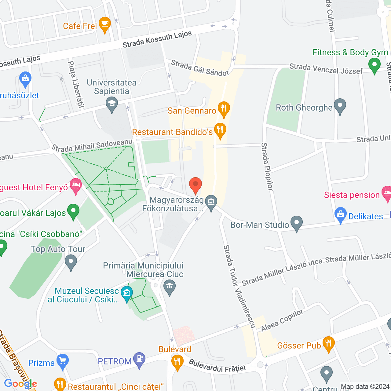 Poza harta streetview, zoom 16, adresa Miercurea Ciuc, str. Korosi Cs. Sandor, nr.7, , judetul