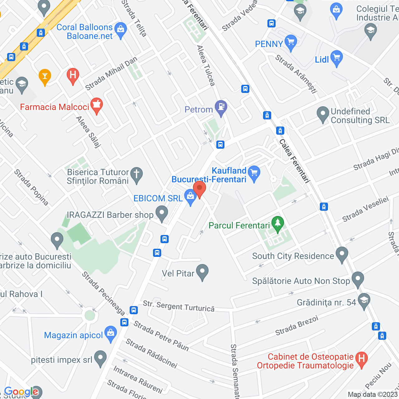 Poza harta streetview, zoom 16, adresa Strada Cartojani nr. 131C, , judetul